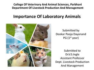 College Of Veterinary And Animal Sciences, Parbhani
Department Of Livestock Production And Management
Importance Of Laboratory Animals
Submitted by
Deokar Pooja Dayanand
PG (1st year)
Submitted to
Dr.V.S.Ingle
Assistant Professor
Dept. Livestock Production
And Management
 