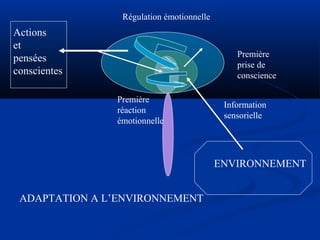 ENVIRONNEMENT
Information
sensorielle
Première
réaction
émotionnelle
Première
prise de
conscience
Régulation émotionnelle
Actions
et
pensées
conscientes
ADAPTATION A L’ENVIRONNEMENT
 