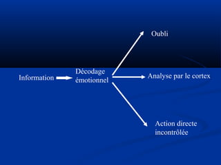 Information
Décodage
émotionnel
Oubli
Analyse par le cortex
Action directe
incontrôlée
 