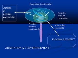ENVIRONNEMENT
Information
sensorielle
Première
réaction
émotionnelle
Première
prise de
conscience
Régulation émotionnelle
Actions
et
pensées
conscientes
ADAPTATION A L’ENVIRONNEMENT
 