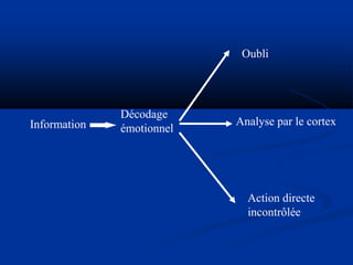 Information
Décodage
émotionnel
Oubli
Analyse par le cortex
Action directe
incontrôlée
 
