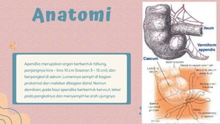 PPT lapsus bedah bari Dindappt appendisitiss / appendikular infiltrat x ...