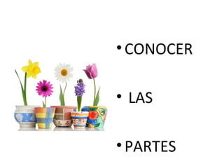 CONOCER LAS  PARTES 