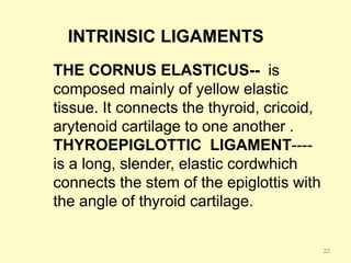 22
INTRINSIC LIGAMENTS
THE CORNUS ELASTICUS-- is
composed mainly of yellow elastic
tissue. It connects the thyroid, cricoid,
arytenoid cartilage to one another .
THYROEPIGLOTTIC LIGAMENT----
is a long, slender, elastic cordwhich
connects the stem of the epiglottis with
the angle of thyroid cartilage.
 