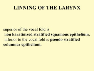 LINNING OF THE LARYNX
superior of the vocal fold is
non karatinized stratified squamous epithelium,
inferior to the vocal fold is pseudo stratified
columnar epithelium.
 