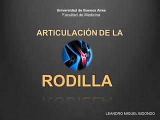 RODILLA
ARTICULACIÓN DE LA
LEANDRO MIGUEL BIDONDO
Universidad de Buenos Aires
Facultad de Medicina
 