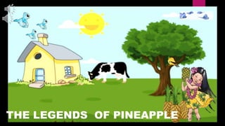 THE LEGENDS OF PINEAPPLE
 