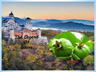 The Legend
Of
Guava
 