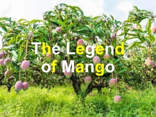 The Legend
of Mango
 