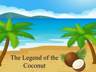 The Legend of the
Coconut
 