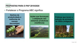 Ganhos de
produtividade e
melhorias de
manejo
(tecnologia)
Ações que favoreçam
a adaptação dos
sistemas produtivos
(resiliência)
Práticas que levem a
redução de emissões
de GEEs (mitigação)
Fonte: FAO
PROPOSTAS PARA O PAP 2019/2020
▪ Fortalecer o Programa ABC significa:
 
