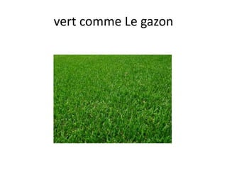 vert comme Le gazon
 