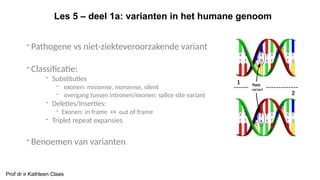 ppt les 5 Varianten en Mendeliaanse overerving.pptx