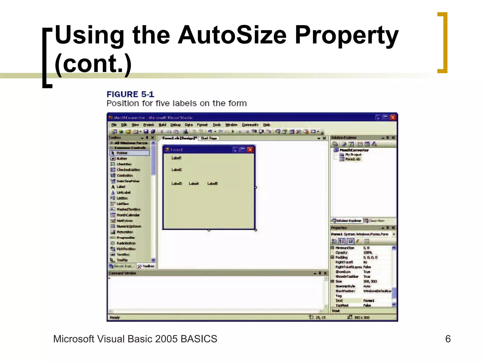 Using the AutoSize Property (cont.) 