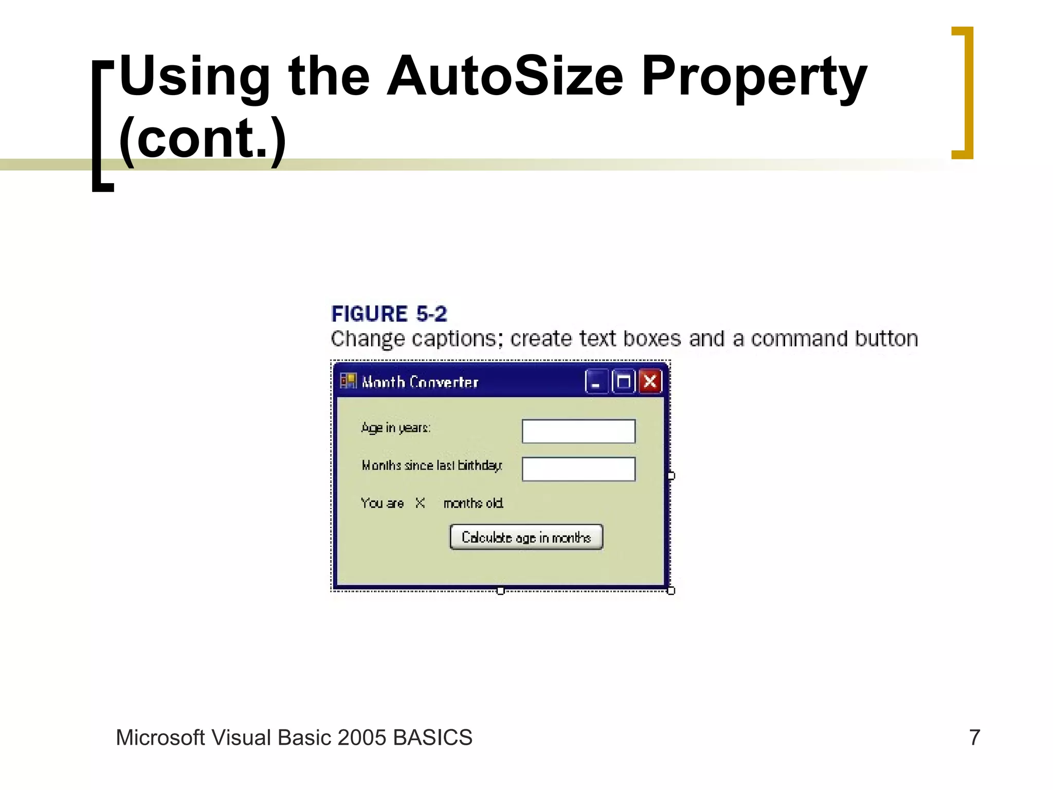 Using the AutoSize Property (cont.) 