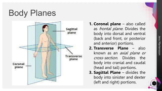 ppt lesson 3.pptx