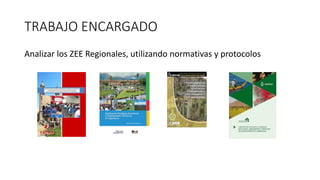 TRABAJO ENCARGADO
Analizar los ZEE Regionales, utilizando normativas y protocolos
 