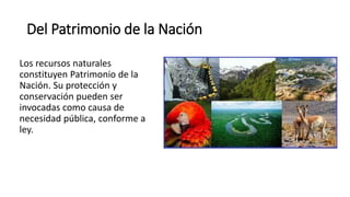 Del Patrimonio de la Nación
Los recursos naturales
constituyen Patrimonio de la
Nación. Su protección y
conservación pueden ser
invocadas como causa de
necesidad pública, conforme a
ley.
 