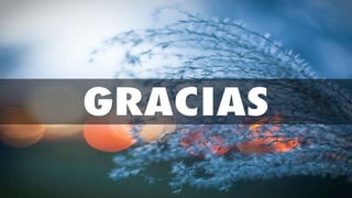 PPT LEY GENERAL DE ADUANAS.pptx