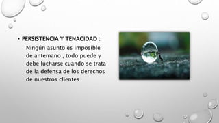 • PERSISTENCIA Y TENACIDAD :
Ningún asunto es imposible
de antemano , todo puede y
debe lucharse cuando se trata
de la defensa de los derechos
de nuestros clientes
 