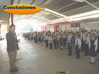 Conclusiones
 