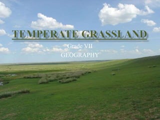 Grade VII
GEOGRAPHY
 
