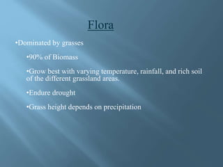 •Wetter regions=taller grass
• Main types
•Blue grama
•Buffalo grass
•Purple needlegrass
•Galleta
 