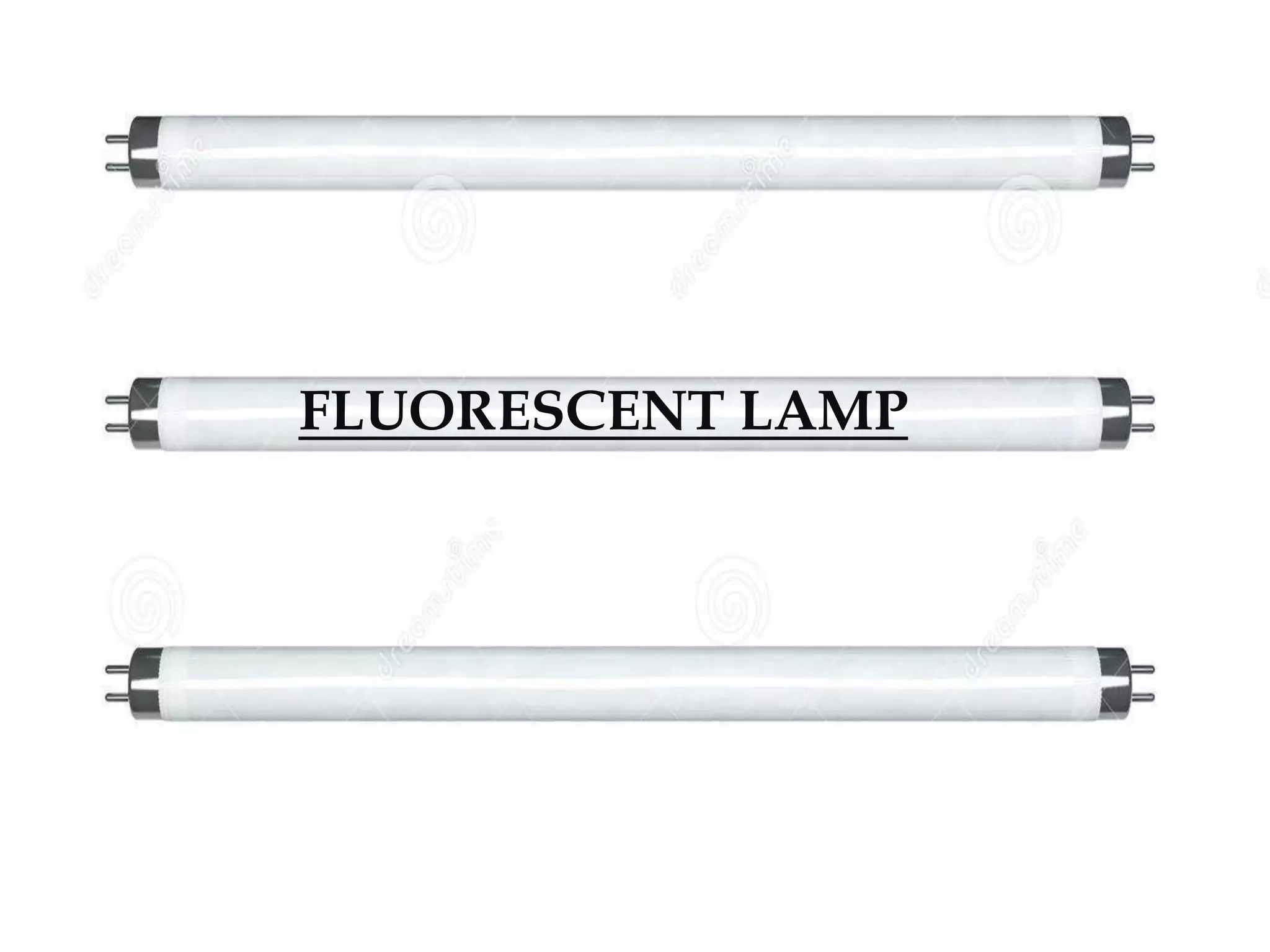 FLUORESCENT LAMP 
LAMP 
 