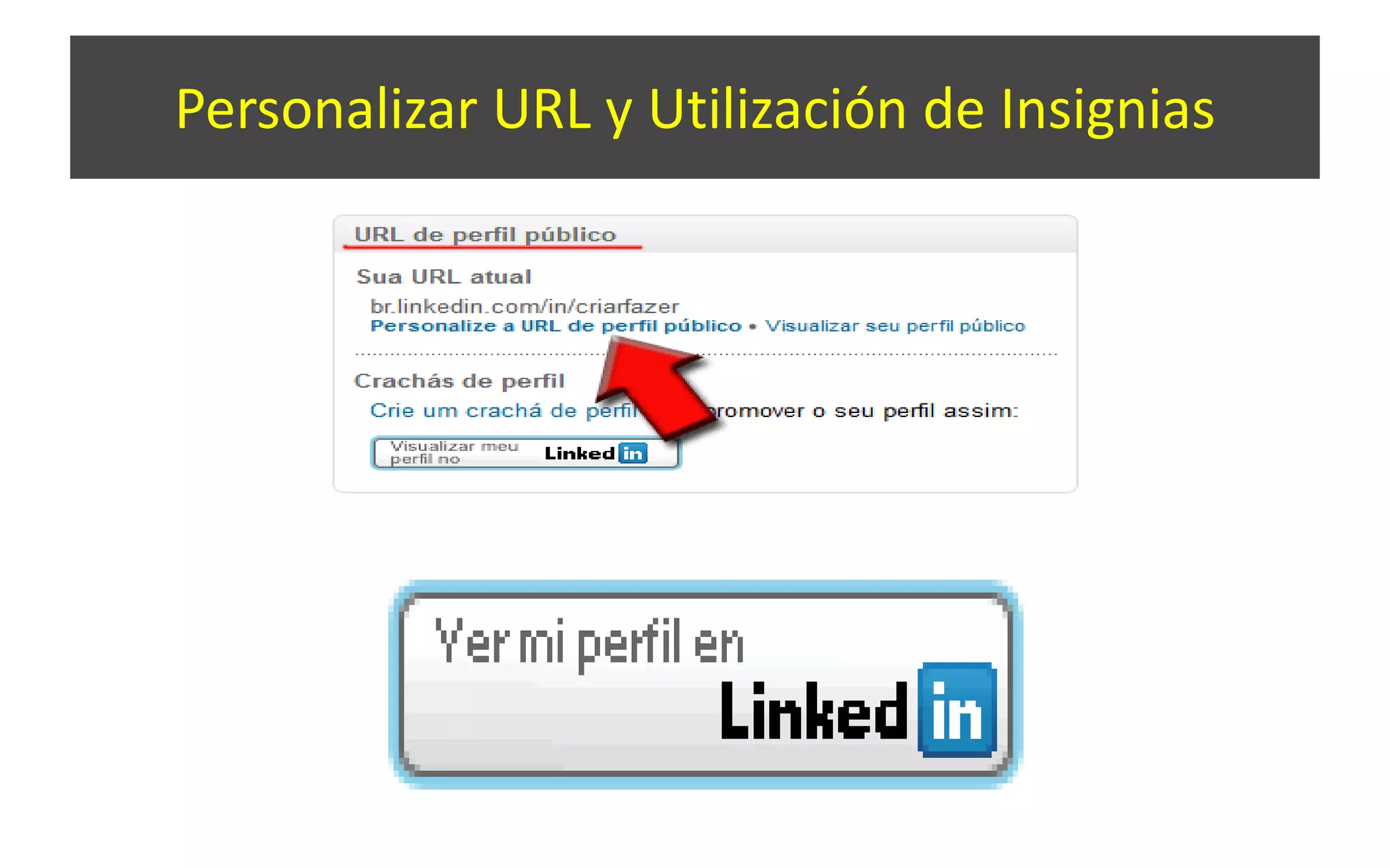 Personalizar URL y Utilización de Insignias
 