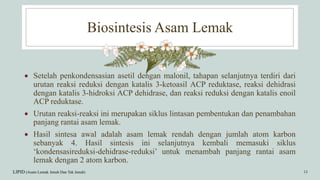 Biosintesis Asam Lemak
LIPID (Asam Lemak Jenuh Dan Tak Jenuh) 13
 Setelah penkondensasian asetil dengan malonil, tahapan selanjutnya terdiri dari
urutan reaksi reduksi dengan katalis 3-ketoasil ACP reduktase, reaksi dehidrasi
dengan katalis 3-hidroksi ACP dehidrase, dan reaksi reduksi dengan katalis enoil
ACP reduktase.
 Urutan reaksi-reaksi ini merupakan siklus lintasan pembentukan dan penambahan
panjang rantai asam lemak.
 Hasil sintesa awal adalah asam lemak rendah dengan jumlah atom karbon
sebanyak 4. Hasil sintesis ini selanjutnya kembali memasuki siklus
‘kondensasireduksi-dehidrase-reduksi’ untuk menambah panjang rantai asam
lemak dengan 2 atom karbon.
 