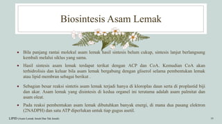 Biosintesis Asam Lemak
LIPID (Asam Lemak Jenuh Dan Tak Jenuh) 14
 Bila panjang rantai molekul asam lemak hasil sintesis belum cukup, sintesis lanjut berlangsung
kembali melalui siklus yang sama.
 Hasil sintesis asam lemak terdapat terikat dengan ACP dan CoA. Kemudian CoA akan
terhidrolisis dan keluar bila asam lemak bergabung dengan gliserol selama pembentukan lemak
atau lipid membran sebagai berikut .
 Sebagian besar reaksi sintetis asam lemak terjadi hanya di kloroplas daun serta di proplastid biji
dan akar. Asam lemak yang disintesis di kedua organel ini terutama adalah asam palmitat dan
asam oleat.
 Pada reaksi pembentukan asam lemak dibutuhkan banyak energi, di mana dua pasang elektron
(2NADPH) dan satu ATP diperlukan untuk tiap gugus asetil.
 