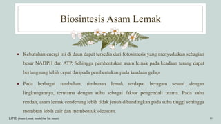 Biosintesis Asam Lemak
LIPID (Asam Lemak Jenuh Dan Tak Jenuh) 15
 Kebutuhan energi ini di daun dapat tersedia dari fotosintesis yang menyediakan sebagian
besar NADPH dan ATP. Sehingga pembentukan asam lemak pada keadaan terang dapat
berlangsung lebih cepat daripada pembentukan pada keadaan gelap.
 Pada berbagai tumbuhan, timbunan lemak terdapat beragam sesuai dengan
lingkungannya, terutama dengan suhu sebagai faktor pengendali utama. Pada suhu
rendah, asam lemak cenderung lebih tidak jenuh dibandingkan pada suhu tinggi sehingga
membran lebih cair dan membentuk oleosom.
 