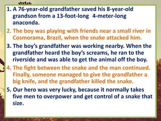 1. A 76-year-old grandfather saved his 8-year-old
   grandson from a 13-foot-long 4-meter-long
   anaconda.
2. The boy was playing with friends near a small river in
   Cosmorama, Brazil, when the snake attacked him.
3. The boy’s grandfather was working nearby. When the
   grandfather heard the boy’s screams, he ran to the
   riverside and was able to get the animal off the boy.
4. The fight between the snake and the man continued.
   Finally, someone managed to give the grandfather a
   big knife, and the grandfather killed the snake.
5. Our hero was very lucky, because it normally takes
   five men to overpower and get control of a snake that
   size.
 