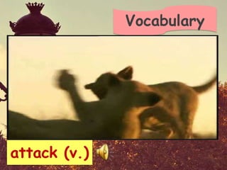 Vocabulary




attack (v.)
 