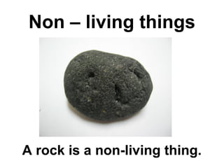 Ppt living and non living blog | PPT
