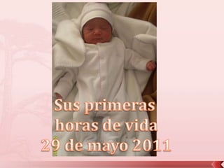Sus primeras horas de vida29 de mayo 2011