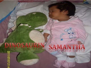 DINOSAURINSAMANTHA