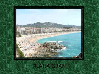 PLATJA GRAN
 