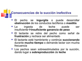 Consecuencias de la succión inefectiva
 El pecho se ingurgita o puede desarrollar
obstrucción de los conductos lactíferos o mastitis
 La ingesta de leche puede ser
insuficienteinsuficiente ganancia de peso
 El lactante se retire del pecho como señal de
frustración y rechace ser alimentado
 El lactante esté hambriento y continúe succionando
durante mucho tiempo o demande lactar con mucha
frecuencia
 Los pechos sean sobreestimulados por la succión,
dando lugar a sobreproducción de leche
 