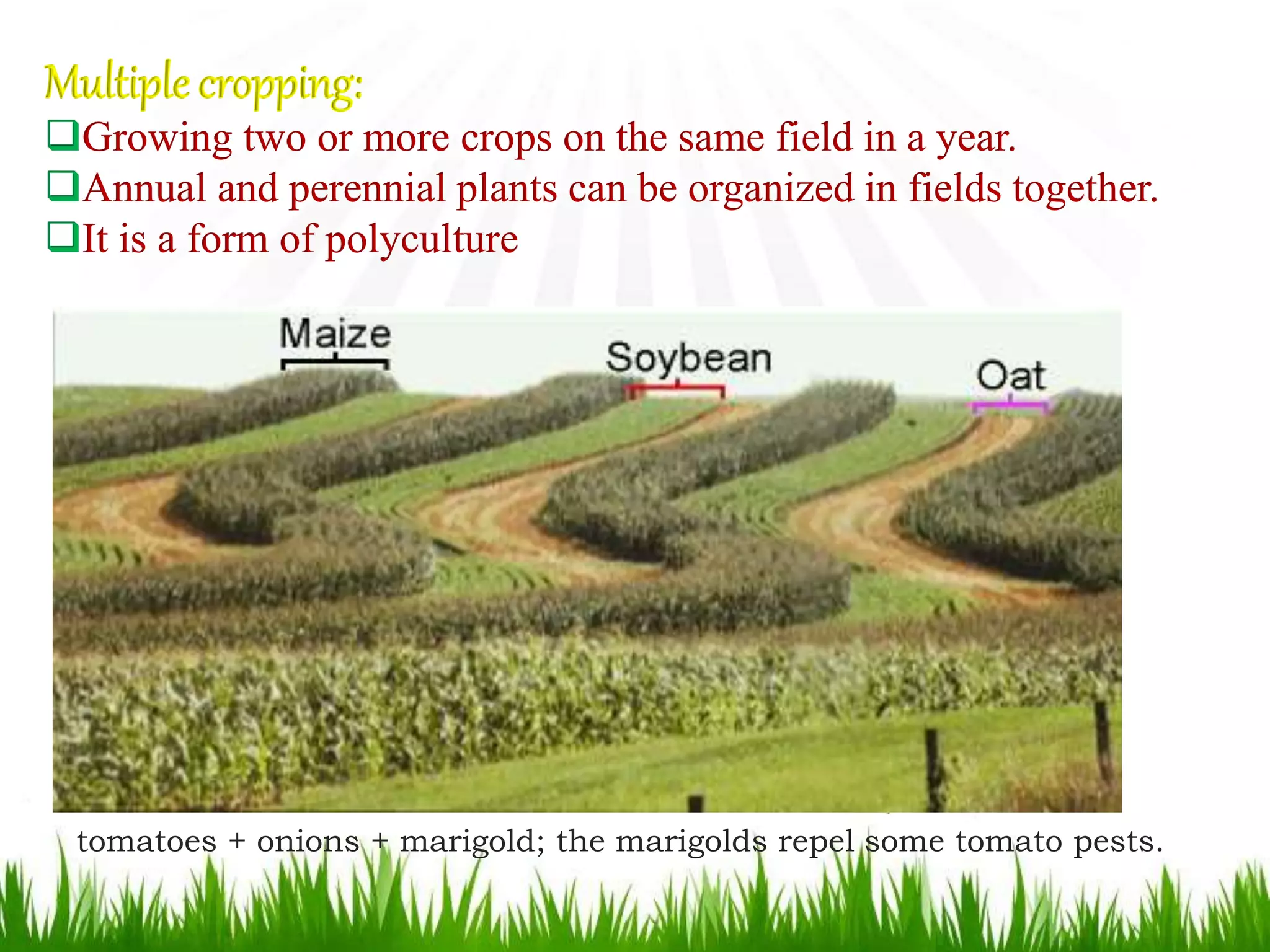 cropping systems and farming systems,Ppt lodha intro | PPTX
