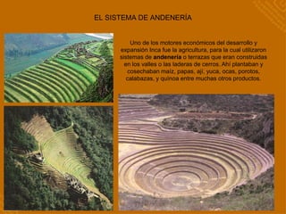 Ppt Los Incas, Los andes centrales y la cultura Inca | PDF