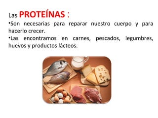Las PROTEÍNAS : 
•Son necesarias para reparar nuestro cuerpo y para 
hacerlo crecer. 
•Las encontramos en carnes, pescados...
