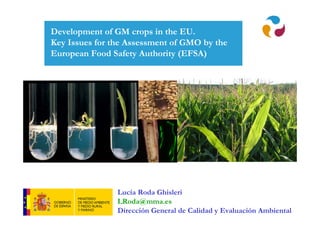 Development of GM crops in the EU.
Key Issues for the Assessment of GMO by the
European Food Safety Authority (EFSA)




                Lucía Roda Ghisleri
                LRoda@mma.es
                Dirección General de Calidad y Evaluación Ambiental
 