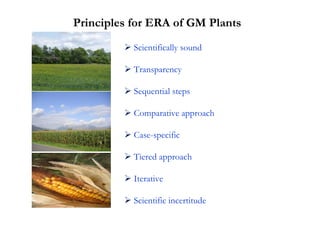 Principles for ERA of GM Plants
           Scientifically sound

           Transparency

           Sequential steps

           Comparative approach

           Case-specific

           Tiered approach

           Iterative

           Scientific incertitude
 