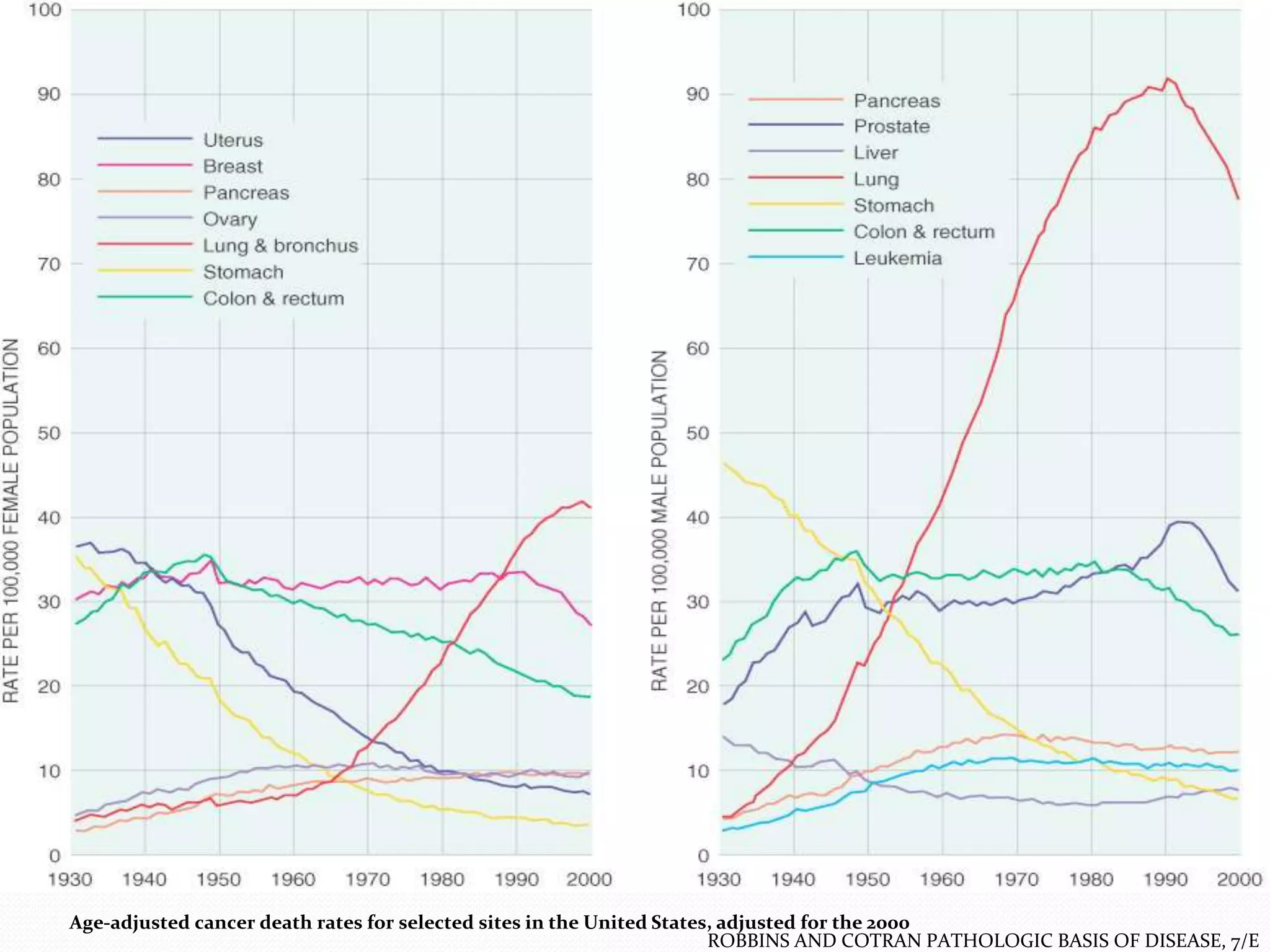 Age-adjusted cancer death rates for selected sites in the United States, adjusted for the 2000
ROBBINS AND COTRAN PATHOLOGIC BASIS OF DISEASE, 7/E

 