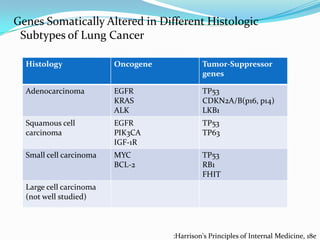 Genes Somatically Altered in Different Histologic
Subtypes of Lung Cancer
Histology

Oncogene

Tumor-Suppressor
genes

Adenocarcinoma

EGFR
KRAS
ALK

TP53
CDKN2A/B(p16, p14)
LKB1

Squamous cell
carcinoma

EGFR
PIK3CA
IGF-1R

TP53
TP63

Small cell carcinoma

MYC
BCL-2

TP53
RB1
FHIT

Large cell carcinoma
(not well studied)

:Harrison's Principles of Internal Medicine, 18e

 