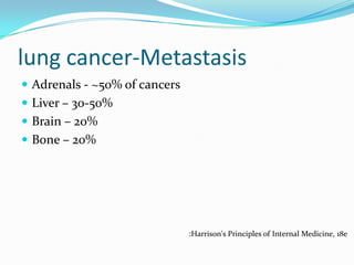 lung cancer-Metastasis
 Adrenals - ~50% of cancers
 Liver – 30-50%
 Brain – 20%
 Bone – 20%

:Harrison's Principles of Internal Medicine, 18e

 