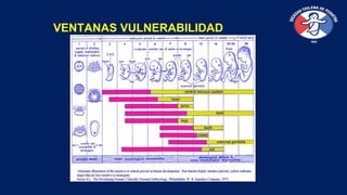 VENTANAS VULNERABILIDAD
 