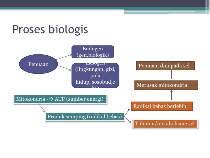 Gerodontologi Gerodontologi