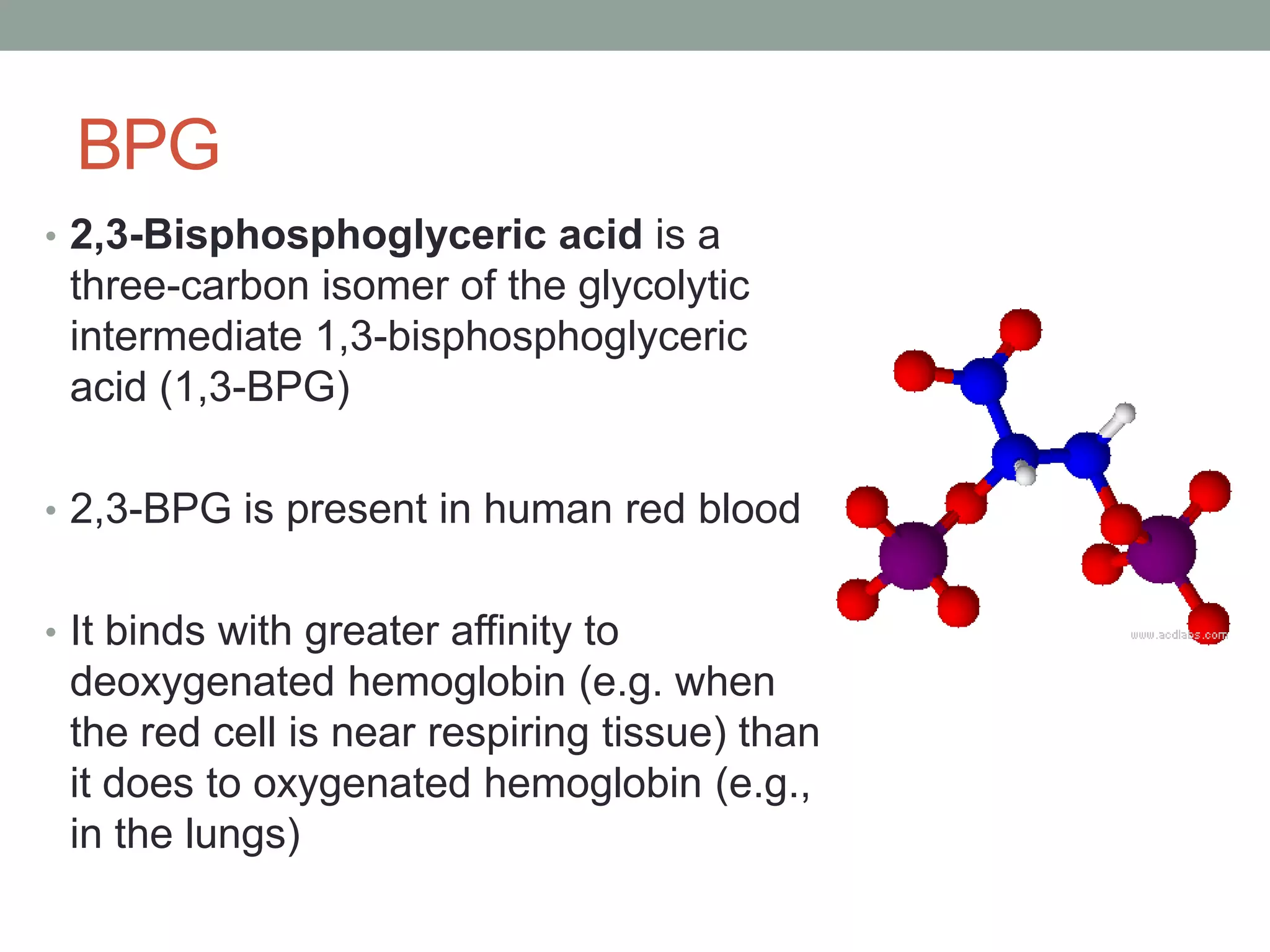 BPG
• 2,3-Bisphosphoglyceric acid is a
three-carbon isomer of the glycolytic
intermediate 1,3-bisphosphoglyceric
acid (1,3-BPG)
• 2,3-BPG is present in human red blood
• It binds with greater affinity to
deoxygenated hemoglobin (e.g. when
the red cell is near respiring tissue) than
it does to oxygenated hemoglobin (e.g.,
in the lungs)
 